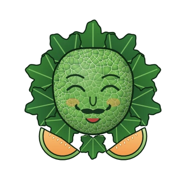 The melon installer mascot, a smiling melon in leaves